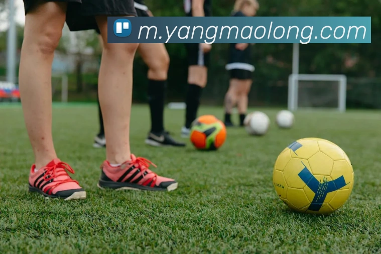 千亿球友会平台生态图