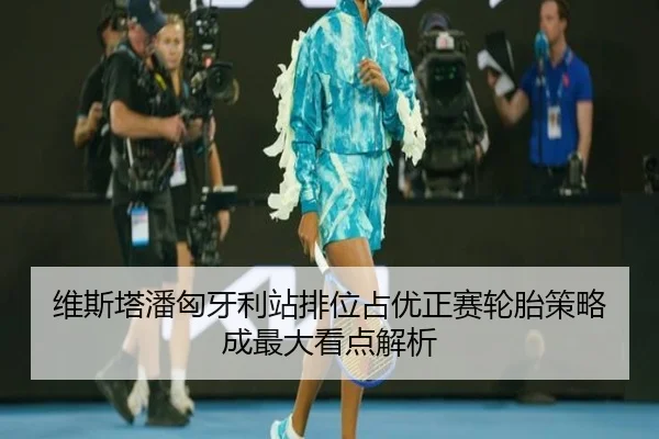 维斯塔潘匈牙利站排位占优正赛轮胎策略成最大看点解析